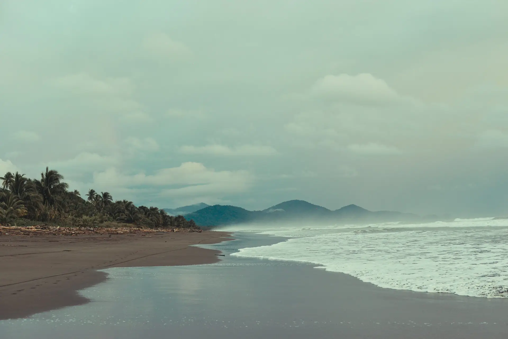 A tranquil tropical beach with palm trees and gentle waves under an overcast sky.