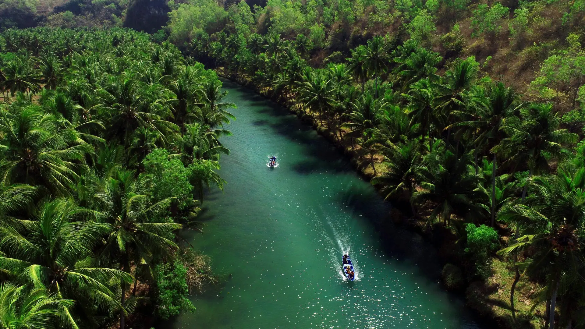 Stunning aerial shot of a lush tropical river flanked by palm trees in Java, Indonesia.
