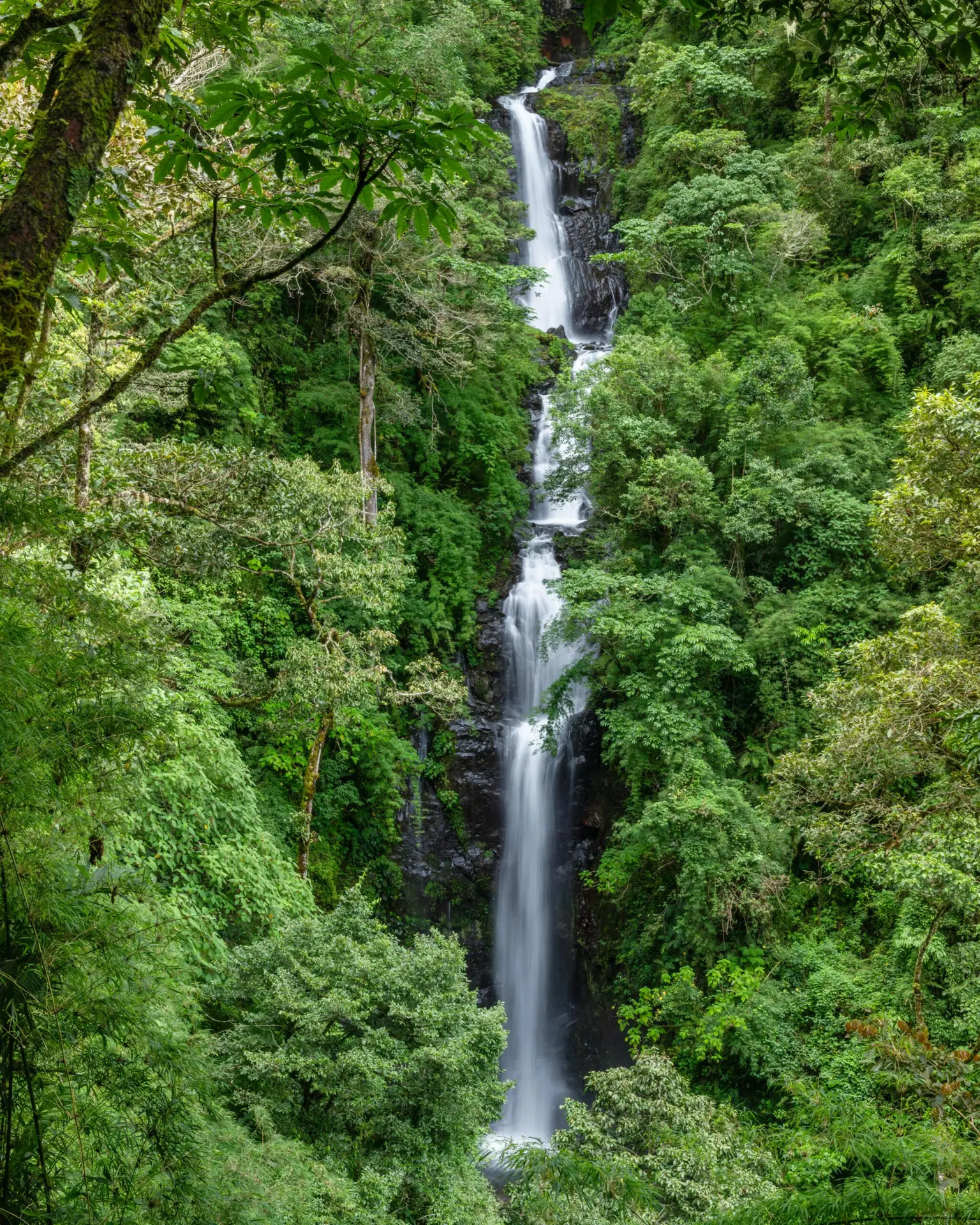 Stunning waterfall cascades through verdant rainforest in Costa Rica, a nature lover's paradise.